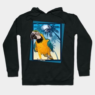 Blue and yellow macaw Hoodie